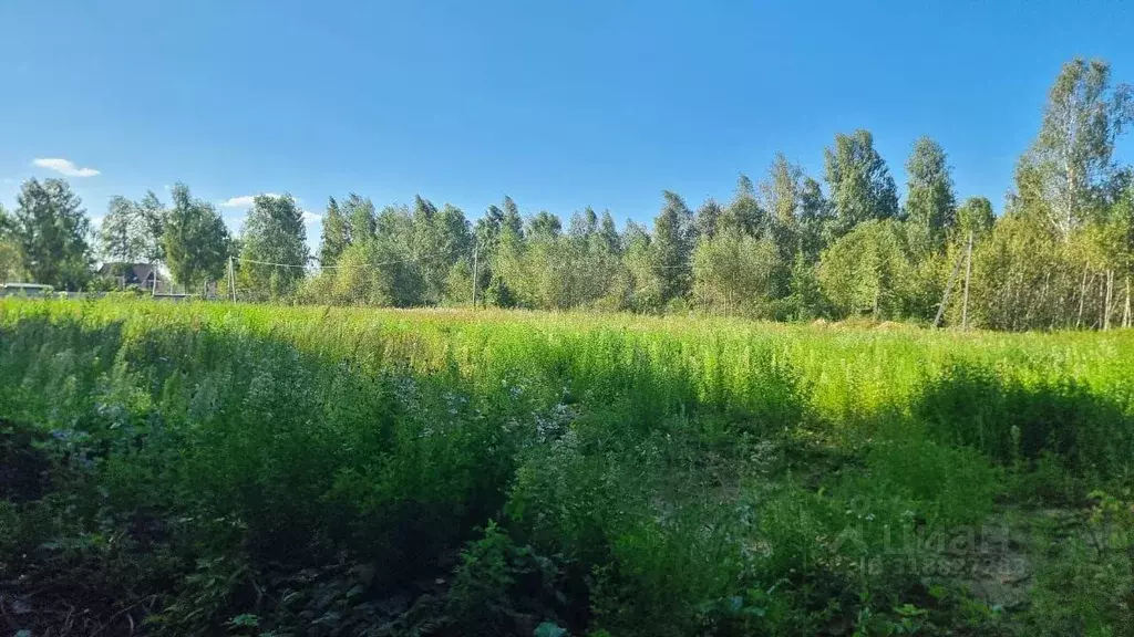 Участок, 15 сот., 0 - Фото 0
