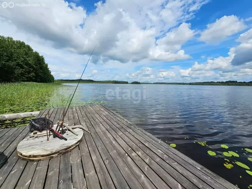 Участок в Великолукский район, Лычёвская волость, деревня Зуево (320 ... - Фото 0