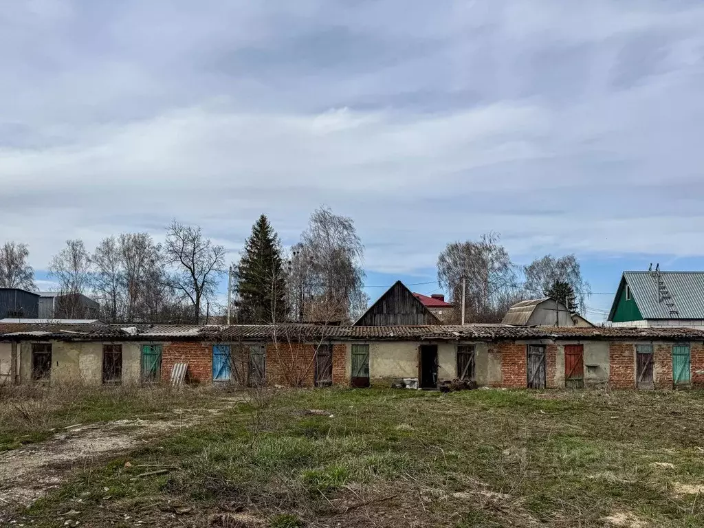 Помещение свободного назначения в Орловская область, Кромы пгт ул. К. ... - Фото 2