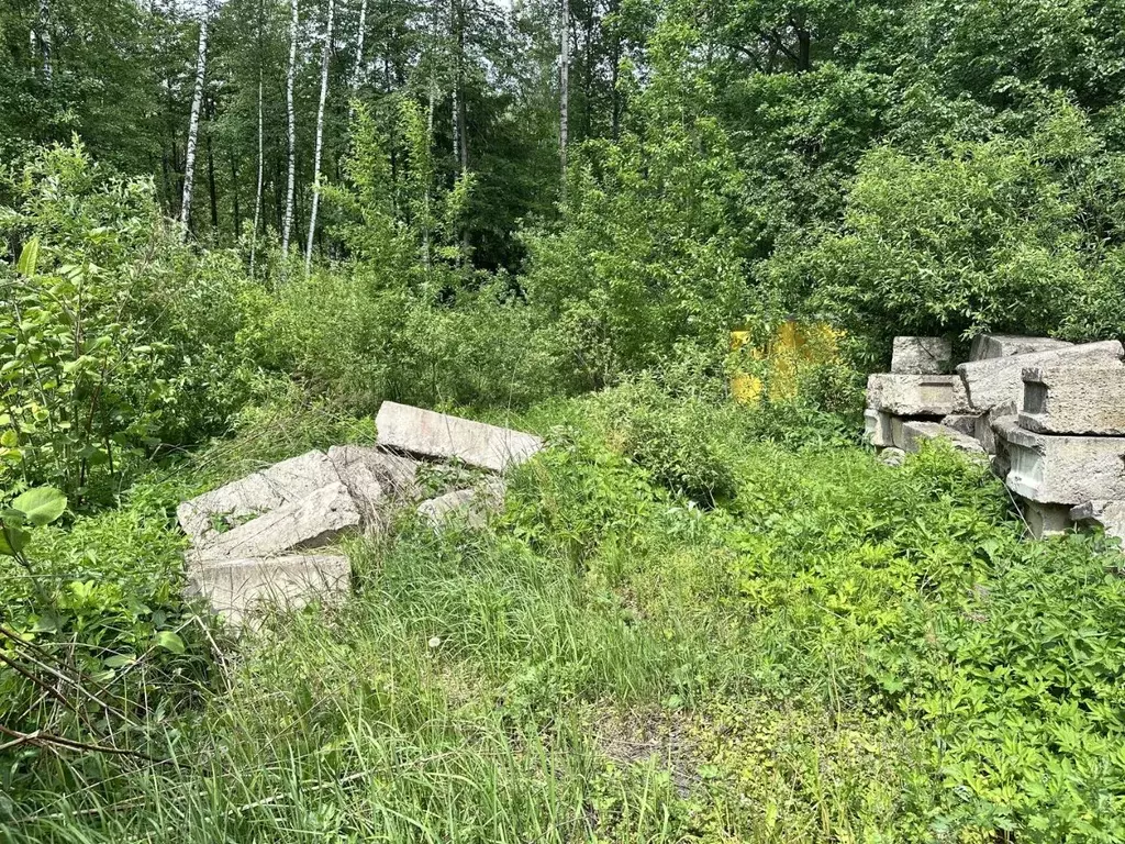 Участок в Москва № 53 кв-л, 3 (5.5 сот.) - Фото 1