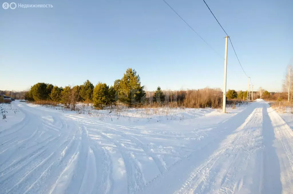 Участок в Заводоуковск, СНТ Колос (15 м) - Фото 1