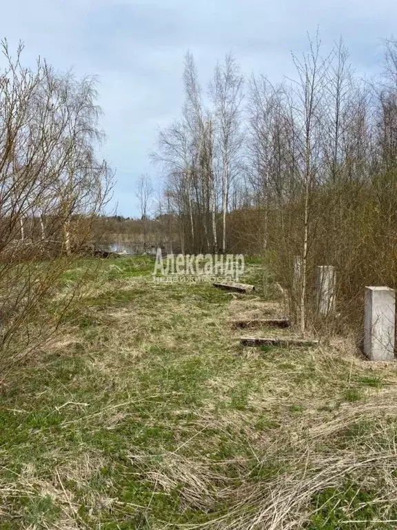 Участок в Ленинградская область, Приозерск ул. Южная (12.0 сот.) - Фото 1