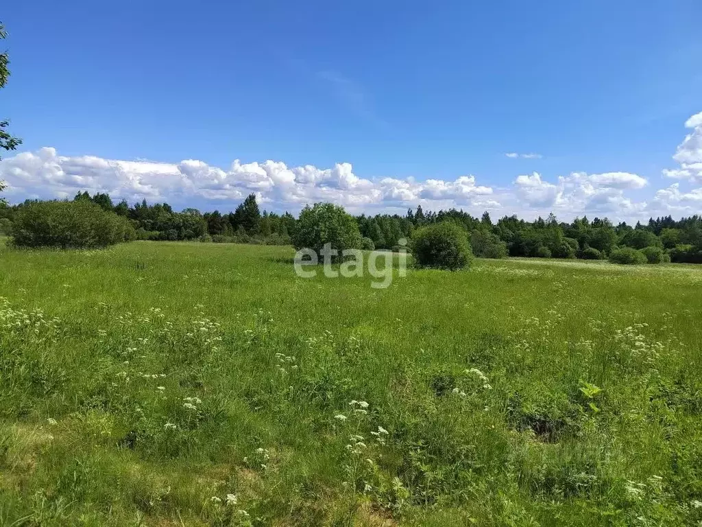 Участок в Хабаровский край, Хабаровский район, с. Дружба  (10.2 сот.) - Фото 1