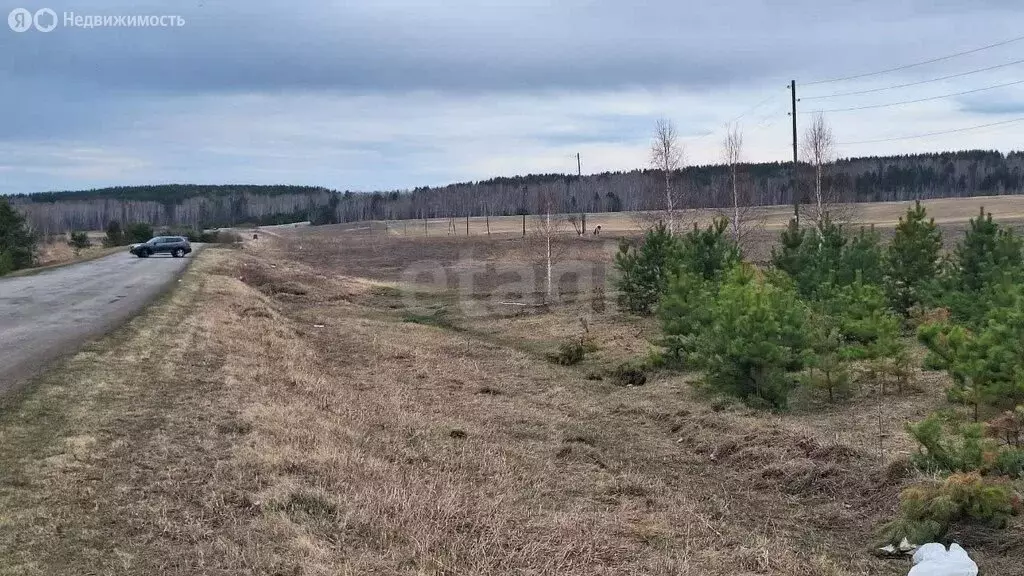Участок в Красноярский край, посёлок городского типа Емельяново (1053 ... - Фото 2