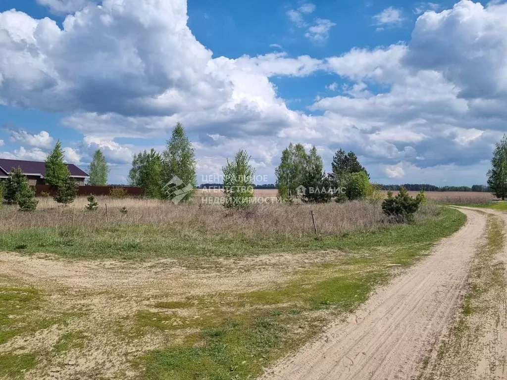 Участок в Рязанская область, Рязанский муниципальный округ, с. Казарь ... - Фото 1