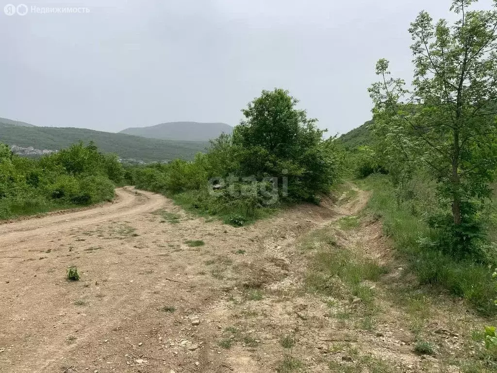 Участок в Краснодарский край, городской округ Новороссийск, село ... - Фото 1
