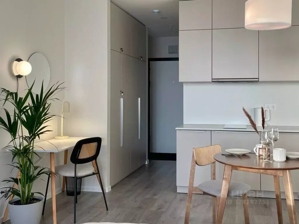 Студия Санкт-Петербург Витебский просп., 99к1 (30.1 м) - Фото 1