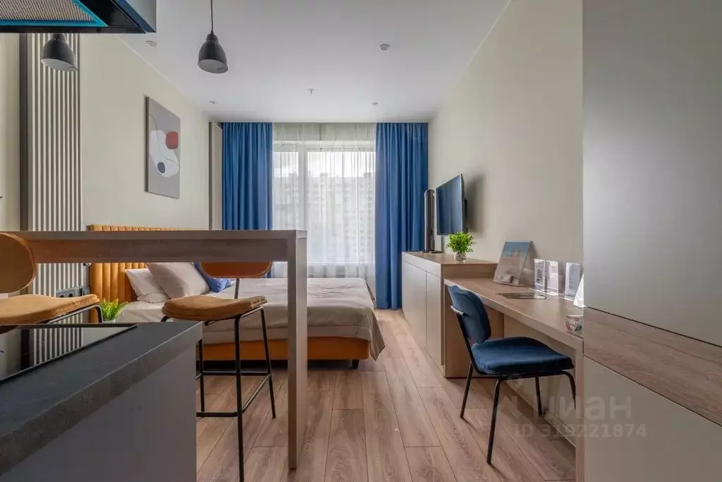 Студия Санкт-Петербург просп. Энергетиков, 8к2 (25.0 м) - Фото 1