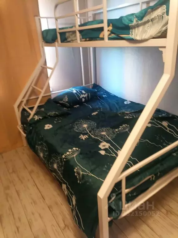 Студия Московская область, Мытищи городской округ, пос. Пирогово ул. ... - Фото 1
