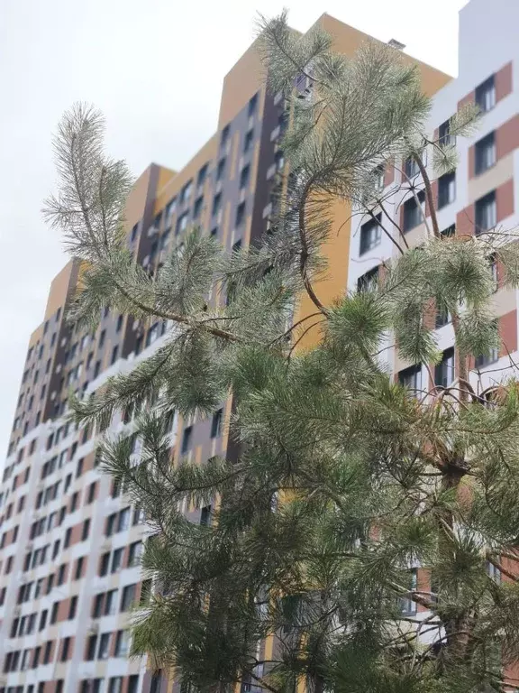 1-к кв. Московская область, Одинцовский городской округ, ... - Фото 1