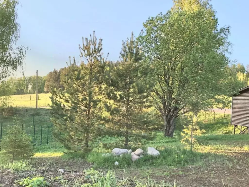 Участок в Ленинградская область, Выборгский район, Рощинское городское ... - Фото 2