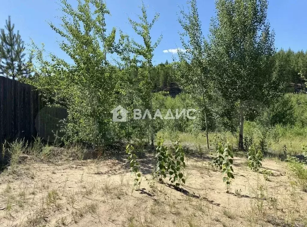 Участок в Бурятия, Улан-Удэ ул. Образцовая, 8 (10.0 сот.) - Фото 1