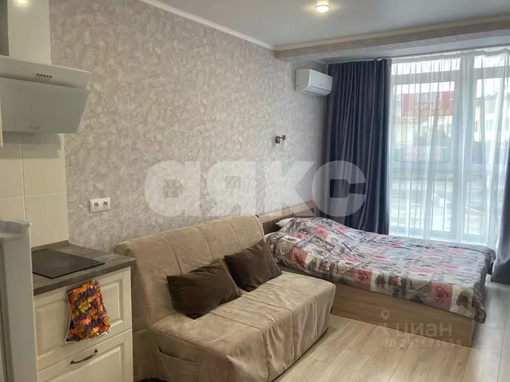 1-к кв. Краснодарский край, Анапа Таманская ул., 121к17 (26.0 м) - Фото 2