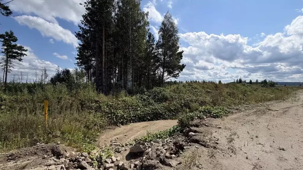 Участок в Свердловская область, Екатеринбург  (52.0 сот.) - Фото 2