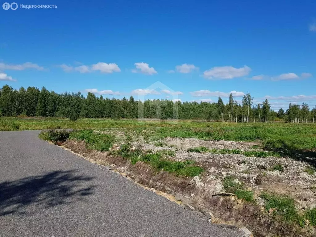 Участок в Куйвозовское сельское поселение, КП Грузино сити (6 м) - Фото 1