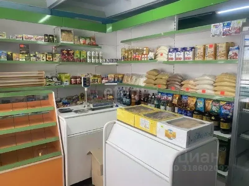 Торговая площадь в Башкортостан, Давлекановский район, д. Сергиополь ... - Фото 2