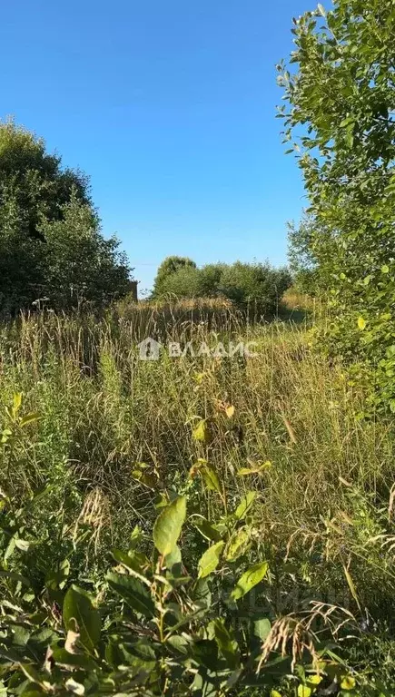 Участок в Ленинградская область, Тосненский район, Никольское ... - Фото 2