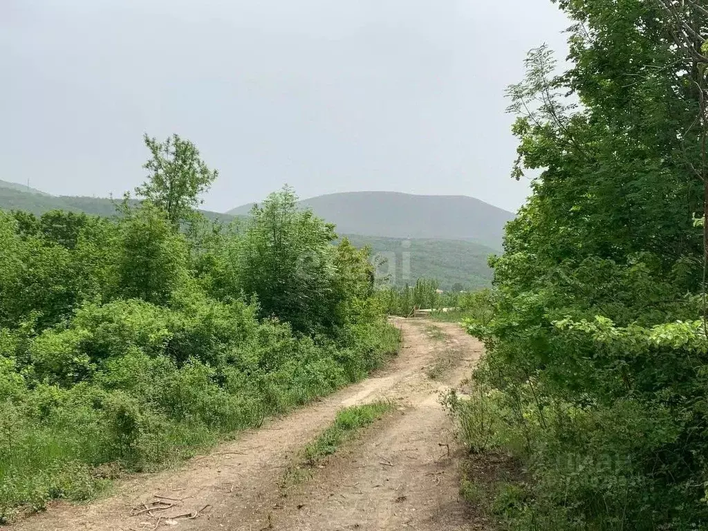 Участок в Краснодарский край, Новороссийск городской округ, с. ... - Фото 1