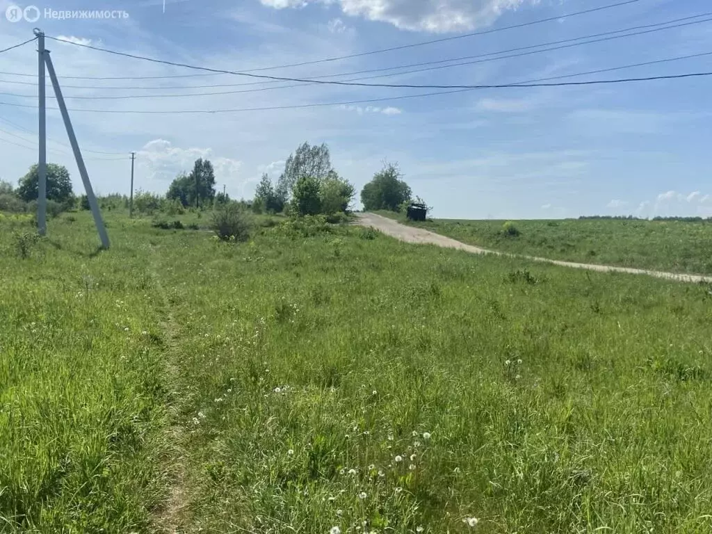 Участок в Нижегородская область, Богородский муниципальный округ, ... - Фото 1