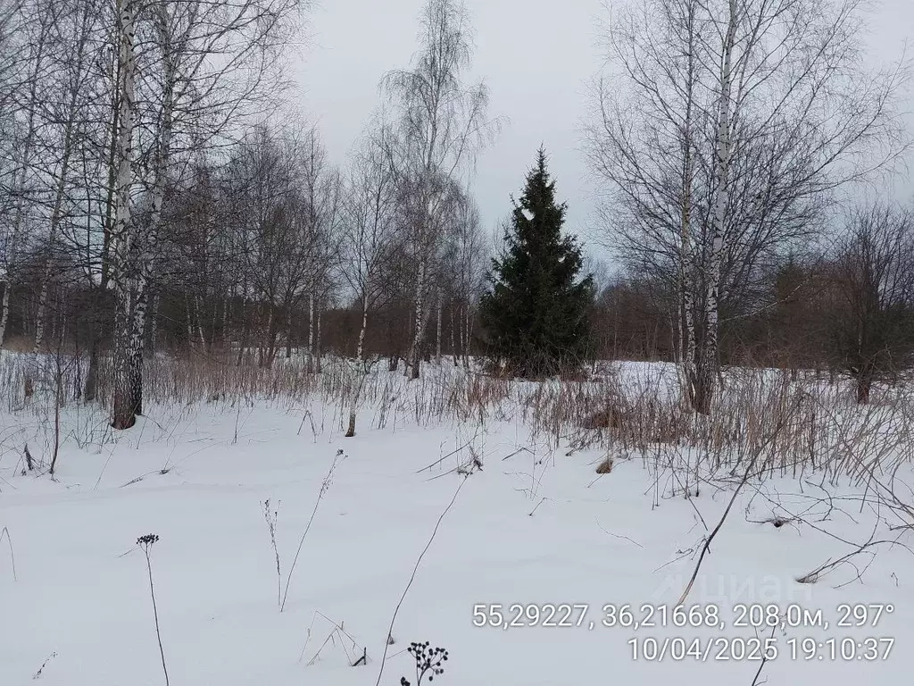 Участок в Московская область, Наро-Фоминский городской округ, д. ... - Фото 0