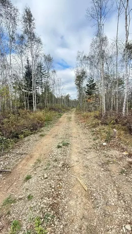 Участок в Сахалинская область, Южно-Сахалинск Ландыш СНТ,  (1000.0 ... - Фото 1