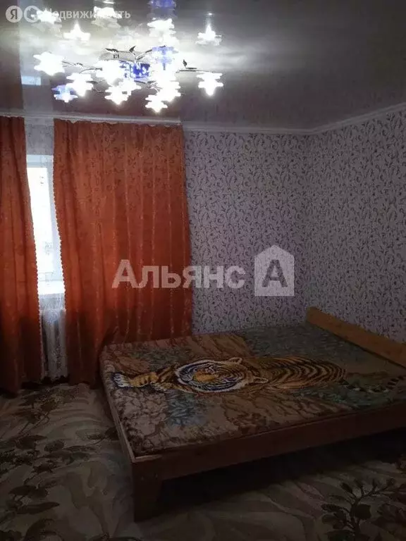 1-комнатная квартира: Каменск-Шахтинский, улица Дорошева, 25 (27 м) - Фото 2