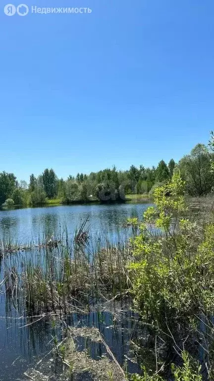 Участок в сельское поселение Дворцы, деревня Обухово (15 м) - Фото 0