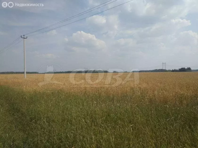 Участок в Тюменский район, село Каменка (6.7 м) - Фото 0