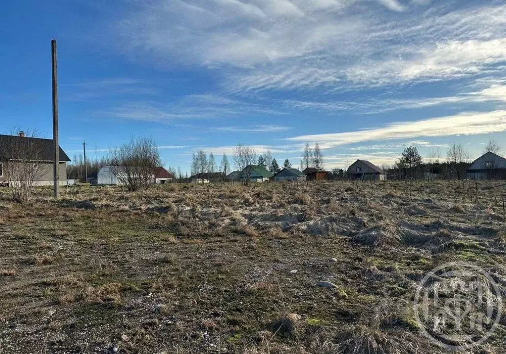 Участок в Ленинградская область, Лужский район, Заклинское с/пос, д. ... - Фото 2