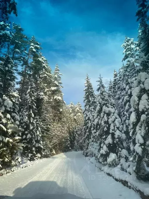 Дом в Тверская область, Осташковский муниципальный округ, д. Заплавье  ... - Фото 2