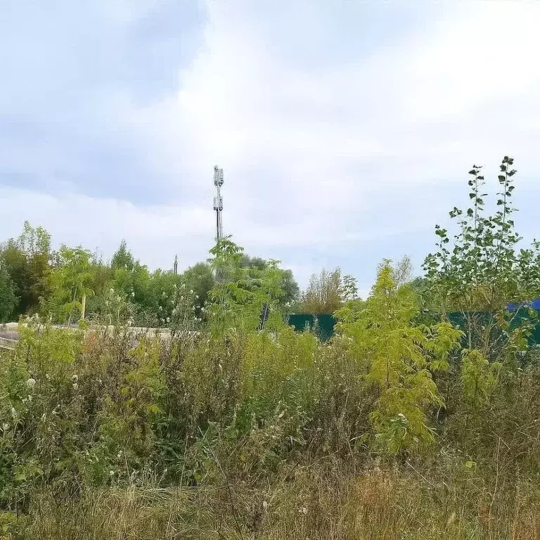 Участок в Челябинская область, Кыштым Западная ул. (12.4 сот.) - Фото 2