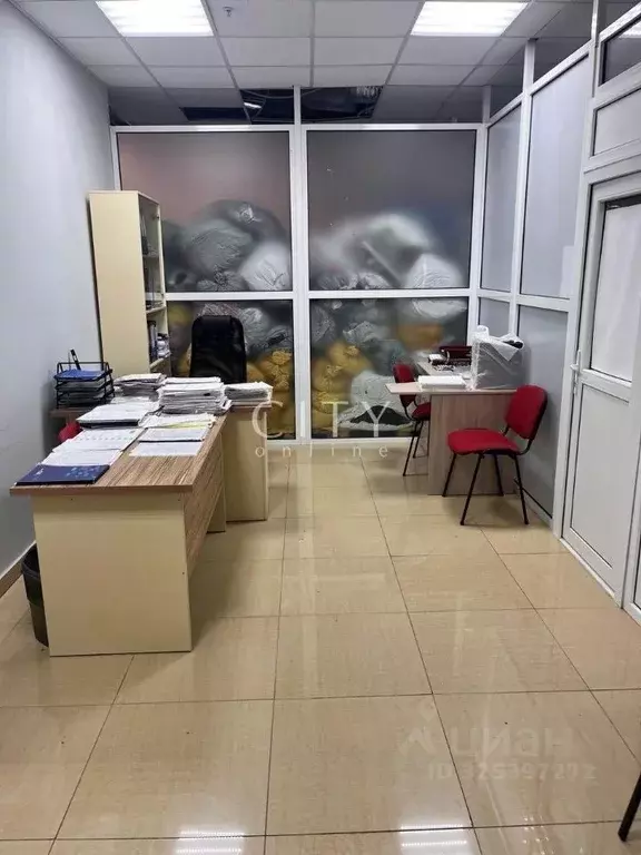 Офис в Тюменская область, Тюмень ул. Некрасова, 10 (35 м) - Фото 1