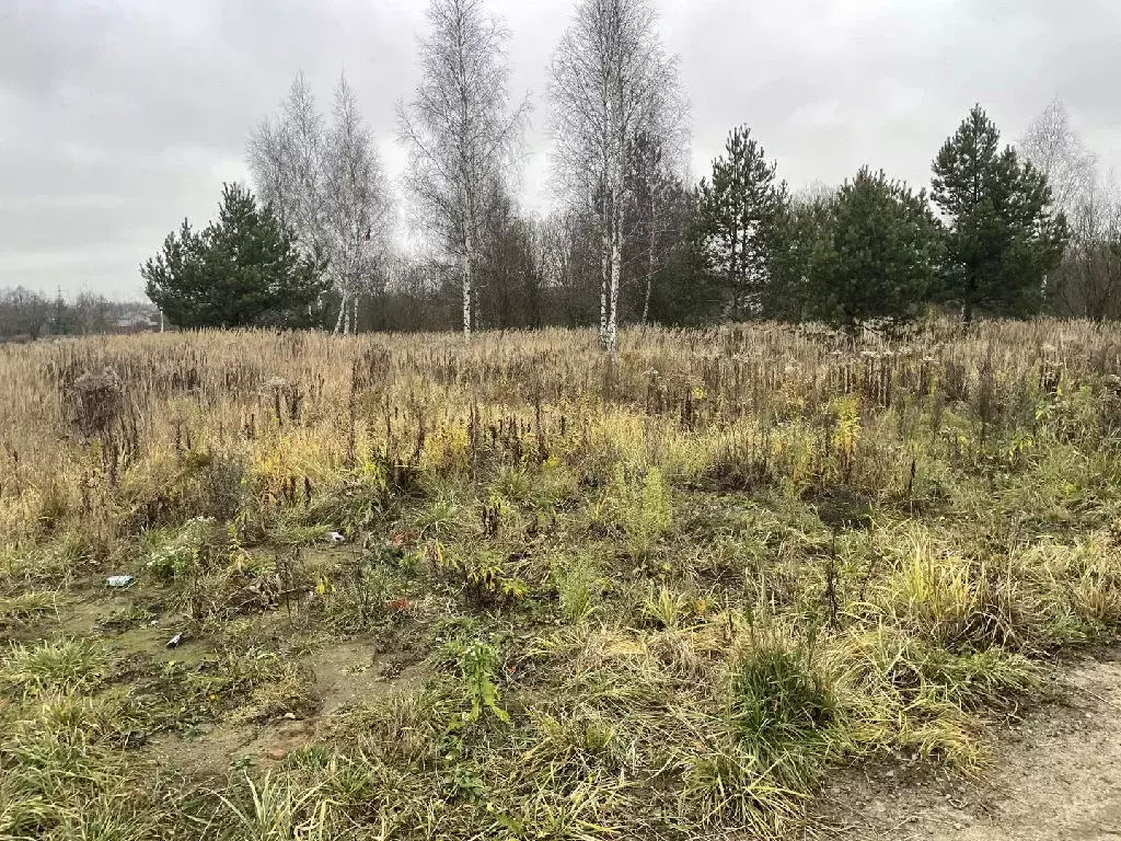 Продается участок в г. Раменское - Фото 2