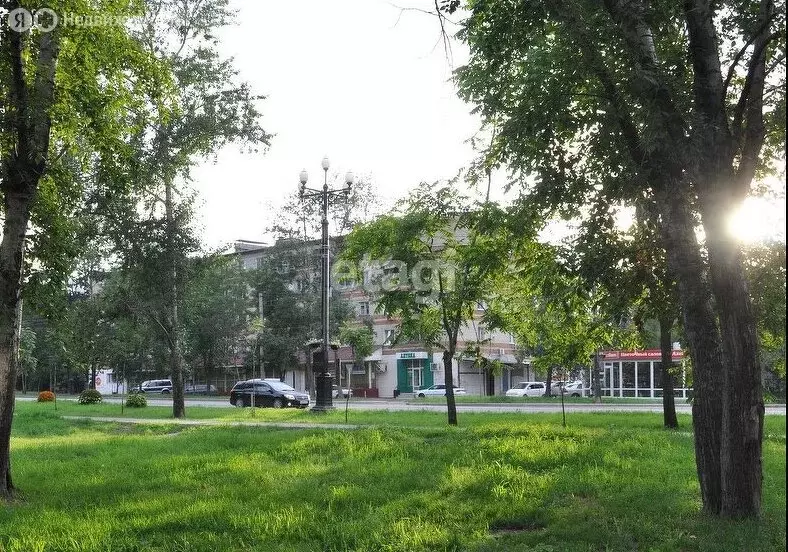 1-комнатная квартира: Хабаровск, улица Данчука, 3 (17.4 м) - Фото 0