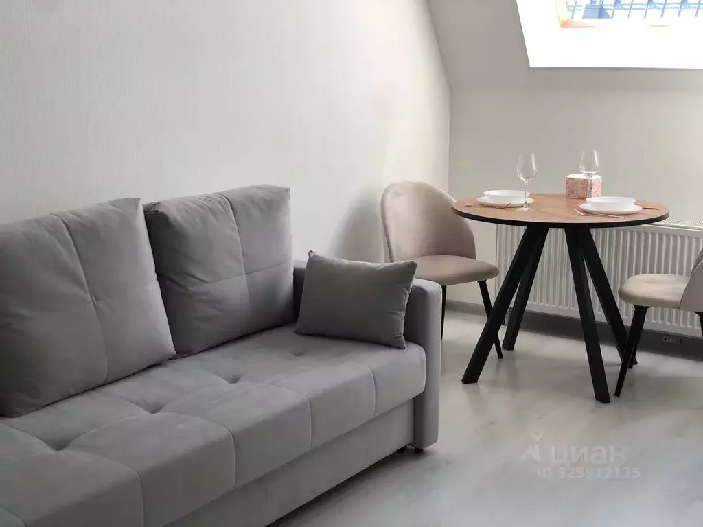 Студия Санкт-Петербург ул. Меридианная, 6к1 (24.0 м) - Фото 0