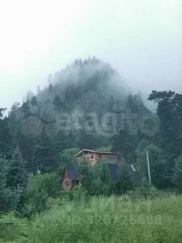 Дом в Алтай, Чемальский район, Узнезинское с/пос, с. Узнезя ул. ... - Фото 1