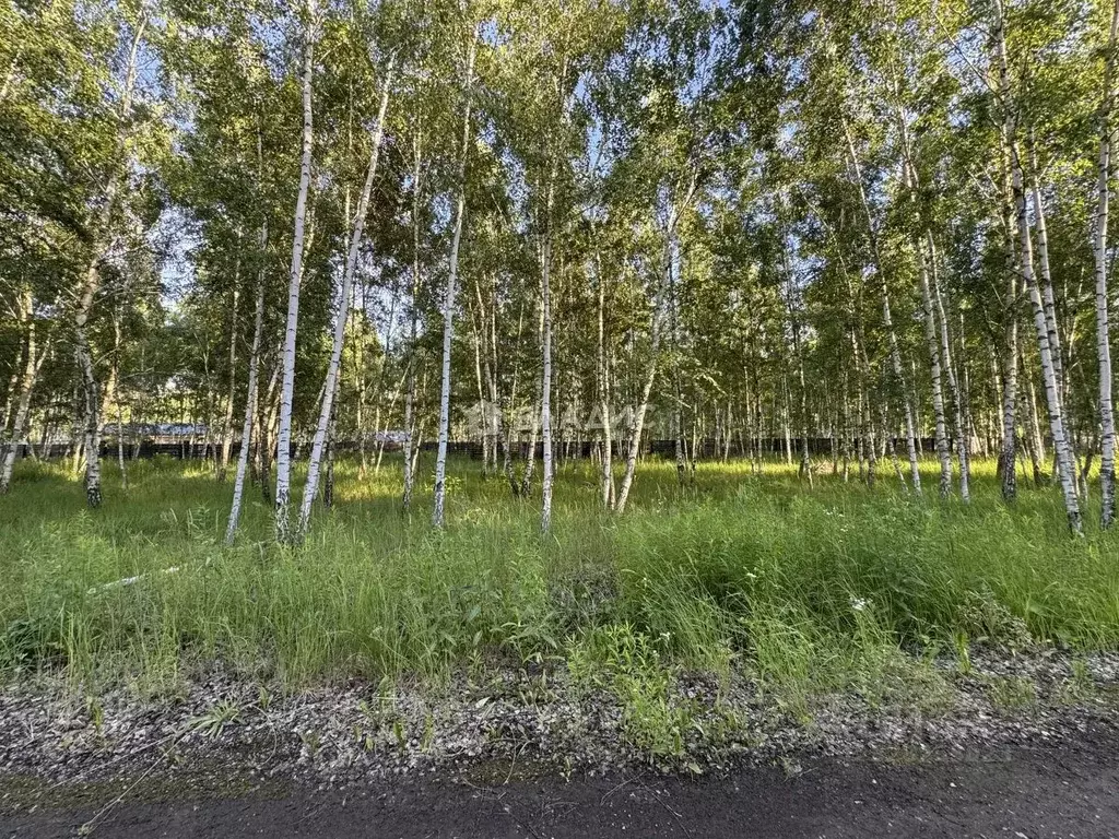 Участок в Воронежская область, Новоусманский район, с. Бабяково ул. ... - Фото 2