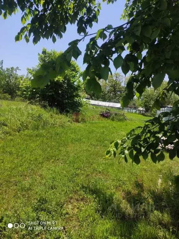 Участок в Ростовская область, Азовский район, Елизаветинское с/пос, ... - Фото 1