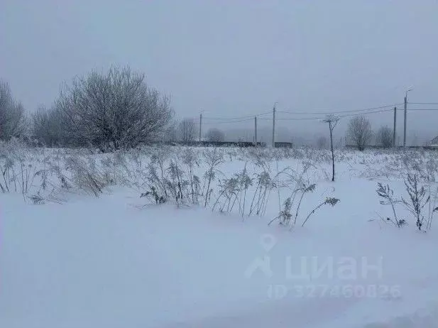 Участок в Московская область, Серпухов городской округ, с. Липицы ул. ... - Фото 1
