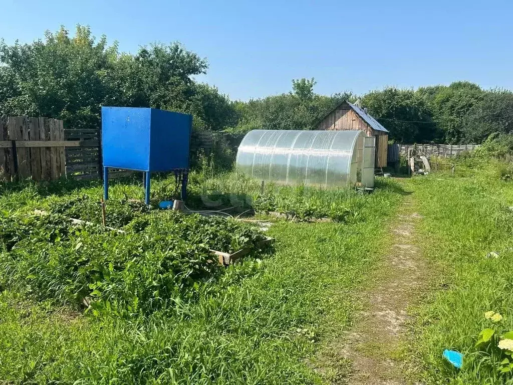 Участок в Нижегородская область, Выкса городской округ, д. Змейка ул. ... - Фото 2
