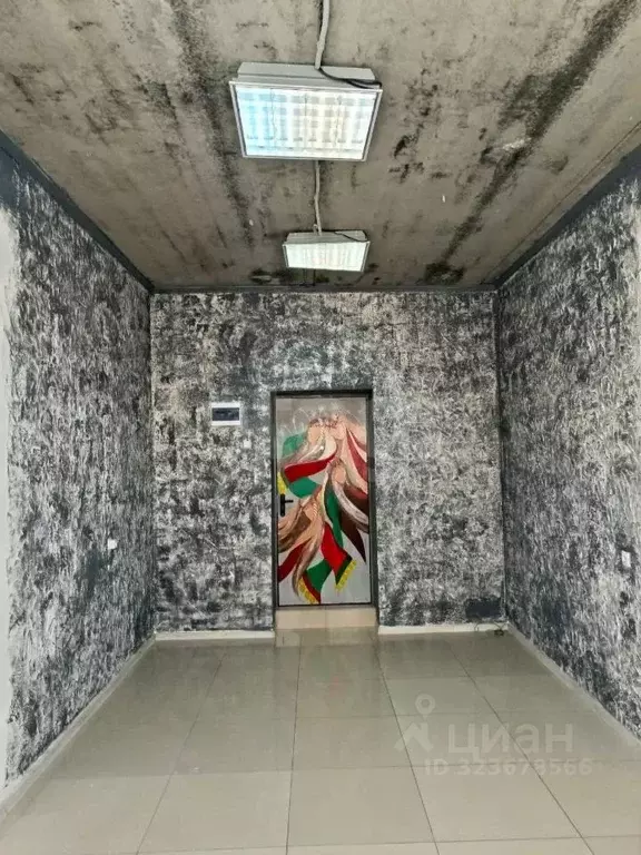 Помещение свободного назначения в Ставропольский край, Ставрополь ул. ... - Фото 1