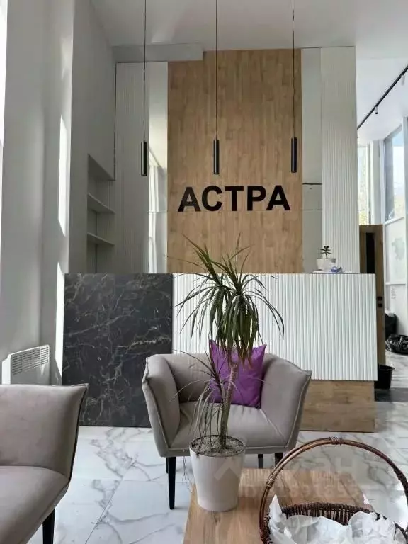 1-к кв. Краснодарский край, Сочи ул. Ленина, 219 (24.0 м) - Фото 0
