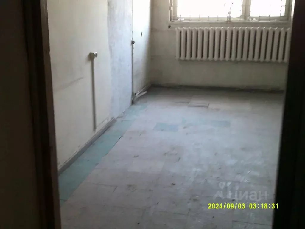 Помещение свободного назначения в Новосибирская область, Новосибирск ... - Фото 1
