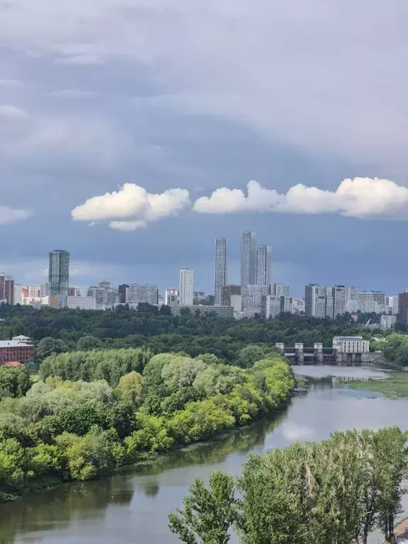 3-к кв. Москва ул. Нижние Мневники, 9 (106.9 м) - Фото 1