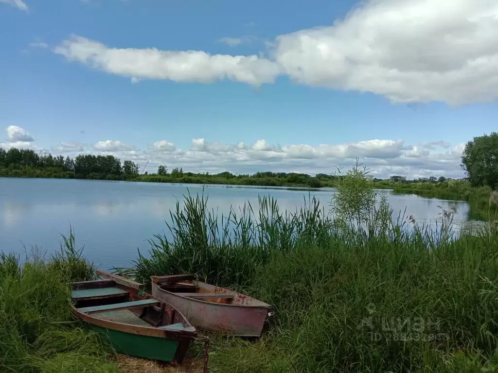 Дом в Нижегородская область, Городец Зафабричная ул., 4 (250 м) - Фото 0