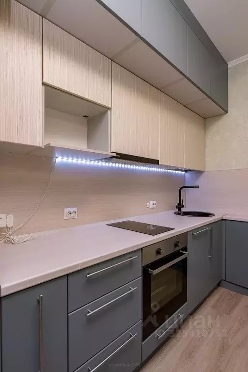 Студия Ленинградская область, Всеволожский район, Заневское городское ... - Фото 2