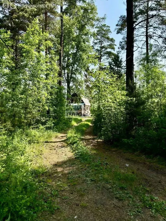 Дом в Ангарск, СНТ Железнодорожник (54 м) - Фото 0