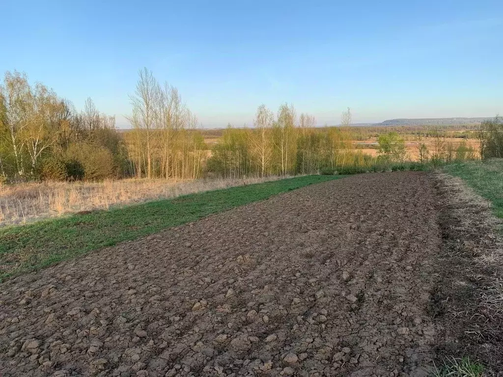 Участок в Нижегородская область, Нижний Новгород д. Михальчиково, ул. ... - Фото 0