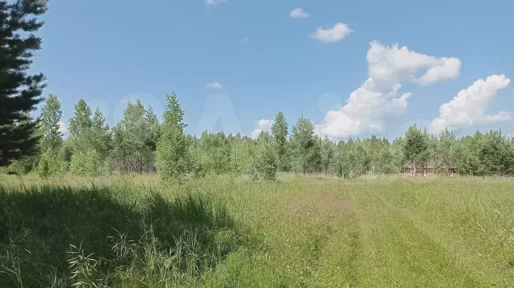 Участок 1,15 га (СНТ, ДНП) - Фото 0
