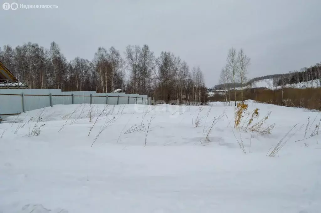 Участок в Кемеровская область, Прокопьевский муниципальный округ, ... - Фото 0